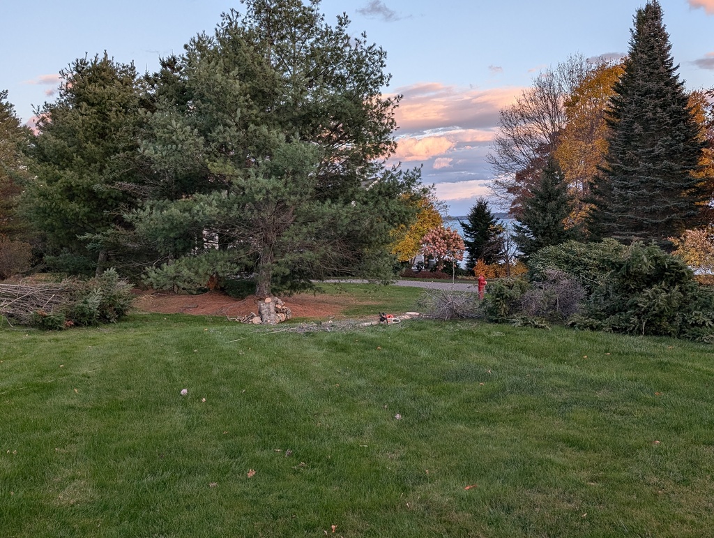 No description provided for: /2024/10-12/1027-fir-tree/photo06.html