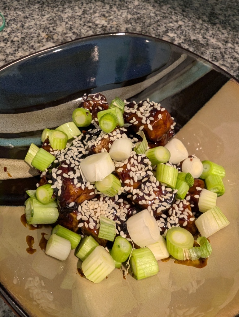 No description provided for: /2024/10-12/1101-teriyaki-tofu/photo02.html