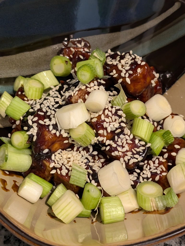 No description provided for: /2024/10-12/1101-teriyaki-tofu/photo03.html