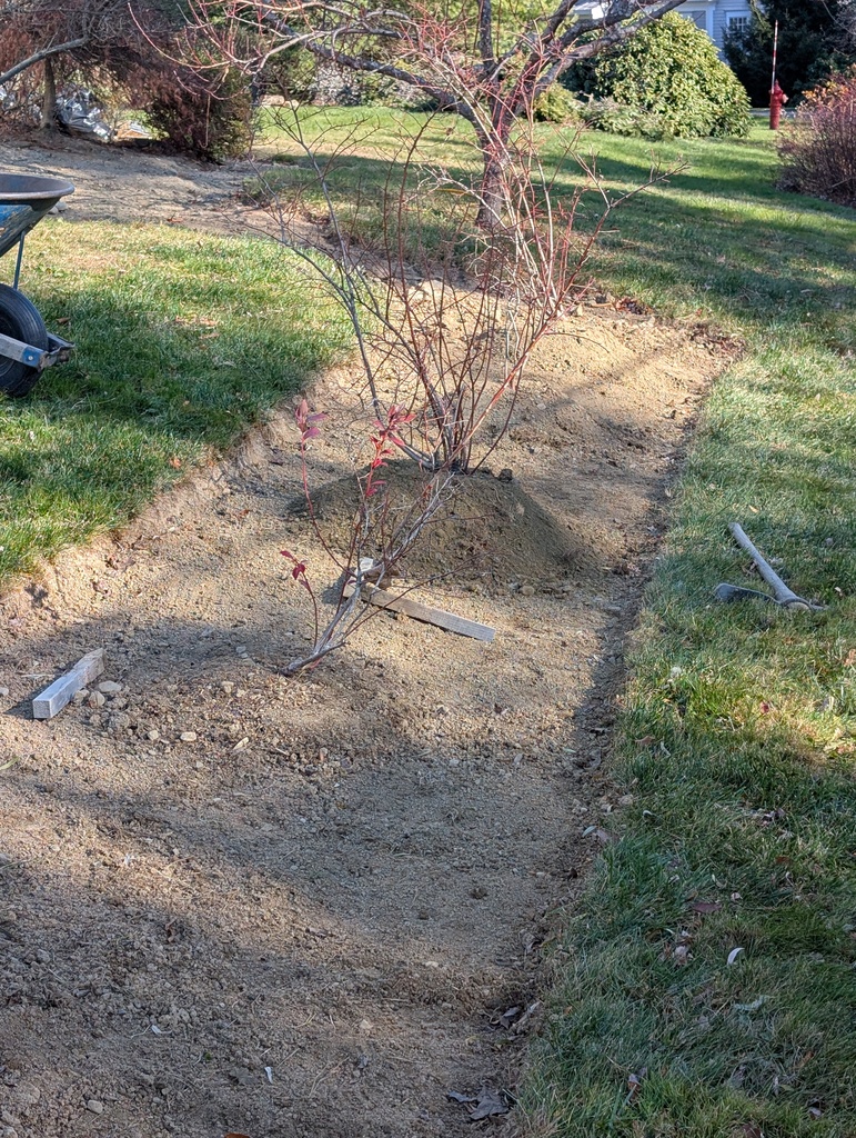 No description provided for: /2024/10-12/1119-landscape/photo01.html