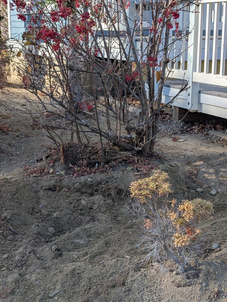 No description provided for: /2024/10-12/1119-landscape/photo02.html