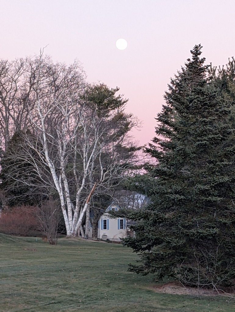 No description provided for: /2024/10-12/1214-full-moon/photo01.html