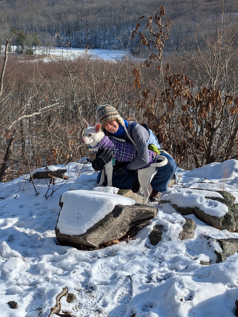 No description provided for: /2024/10-12/1225-topstone/photo14.html