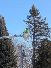 Image file: photo04.jpg