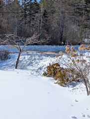 Image file: photo03.jpg