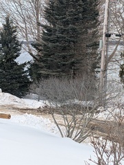 Image file: photo03.jpg