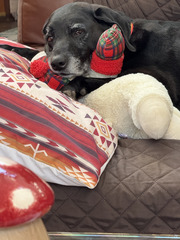 Image file: photo01.jpg