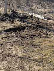 Image file: photo04.jpg