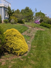 Image file: photo02.jpg