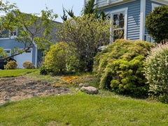 Image file: photo05.jpg