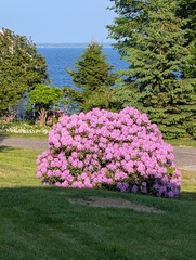 Image file: photo01.jpg