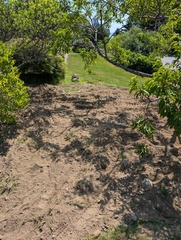 Image file: photo06.jpg