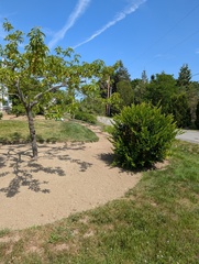 Image file: photo04.jpg