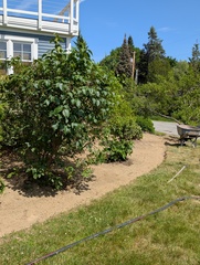 Image file: photo07.jpg