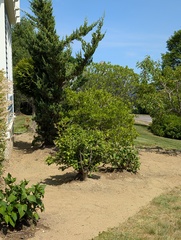 Image file: photo08.jpg