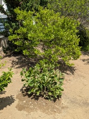 Image file: photo09.jpg