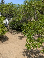 Image file: photo10.jpg