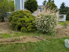 Image file: photo01.jpg