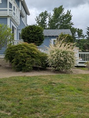 Image file: photo12.jpg