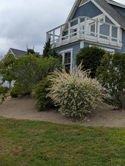 Image file: photo13.jpg