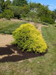 Image file: photo02.jpg