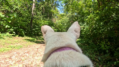 Image file: movie01.mp4