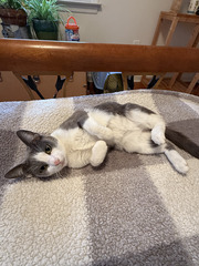 Image file: photo02.jpg