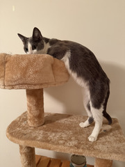 Image file: photo03.jpg