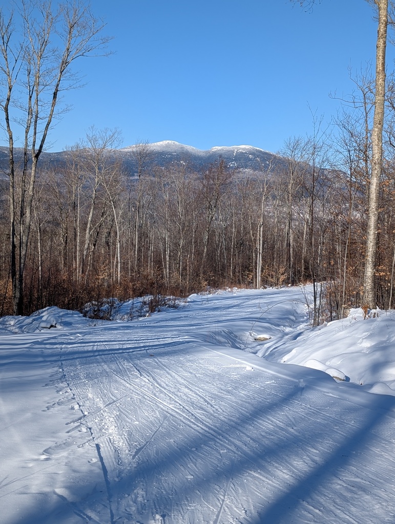 No description provided for: /2025/01-03/0125-xc-ski/photo01.html