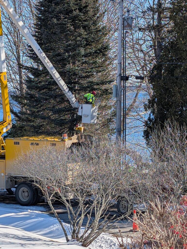 No description provided for: /2025/01-03/0127-pole-tree-trim/photo01.html