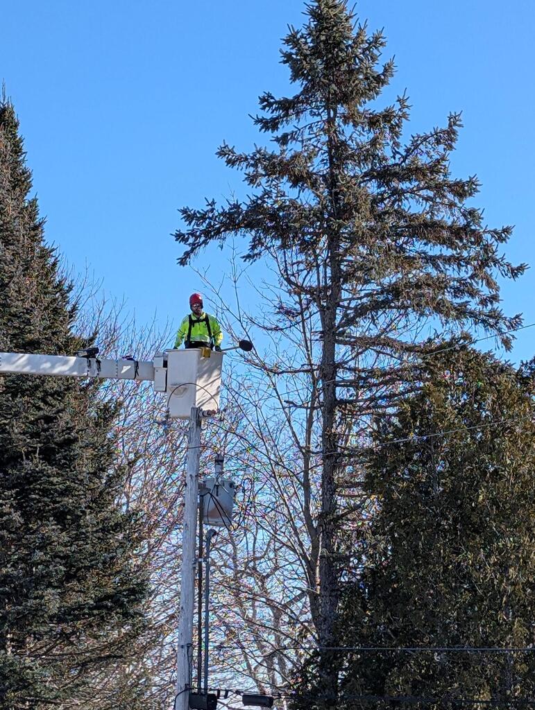 No description provided for: /2025/01-03/0127-pole-tree-trim/photo03.html