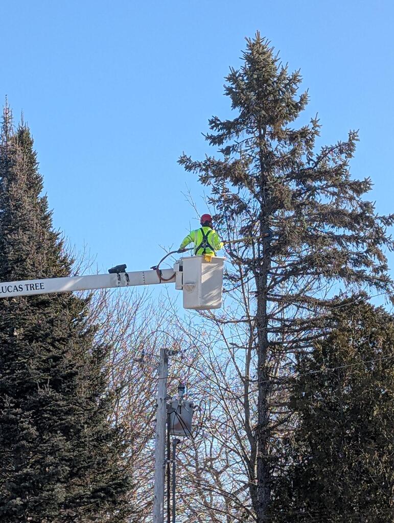 No description provided for: /2025/01-03/0127-pole-tree-trim/photo04.html