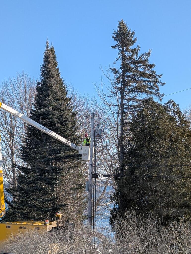 No description provided for: /2025/01-03/0127-pole-tree-trim/photo05.html