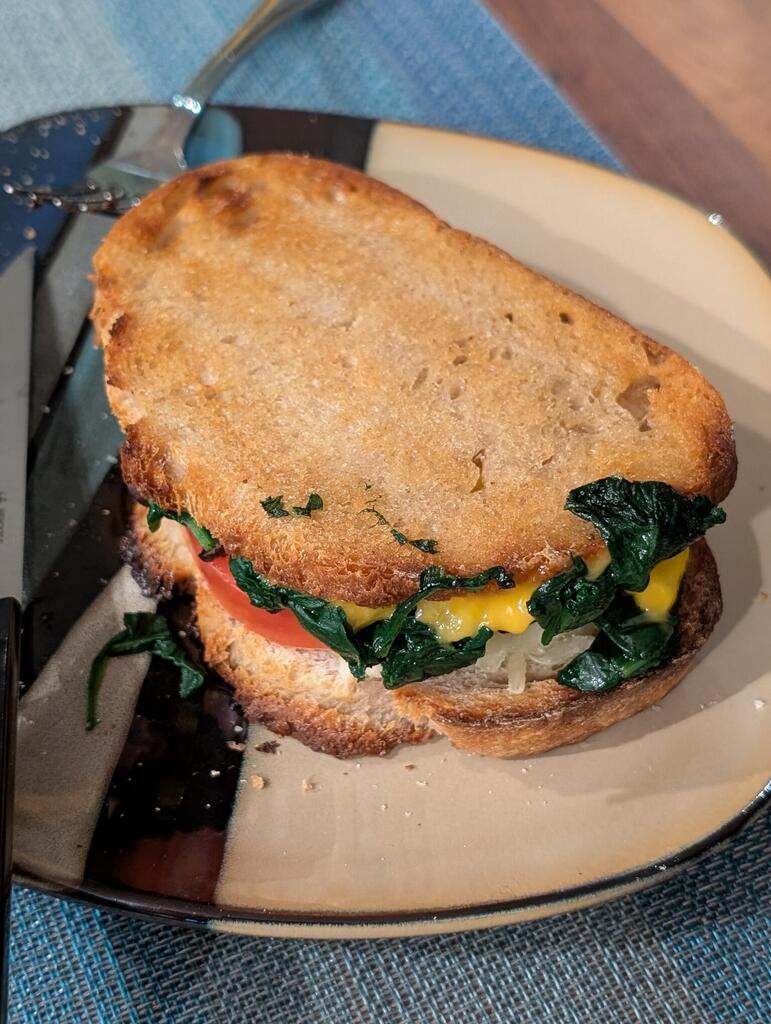 No description provided for: /2025/01-03/0128-vegan-grilled-cheese/photo01.html