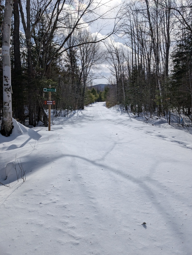 No description provided for: /2025/01-03/0214-xc-ski-route/photo01.html