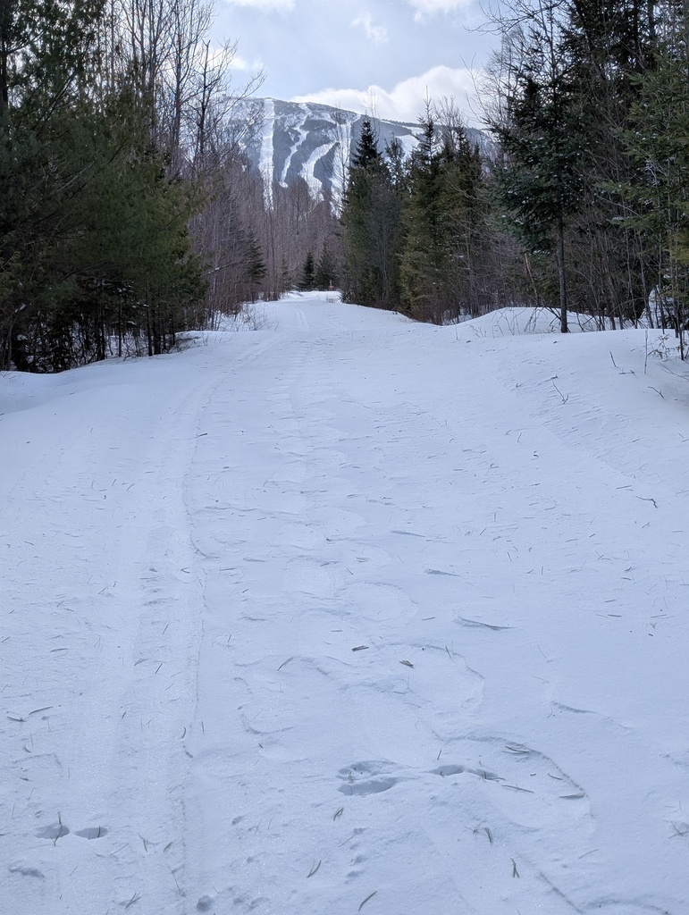 No description provided for: /2025/01-03/0214-xc-ski-route/photo02.html