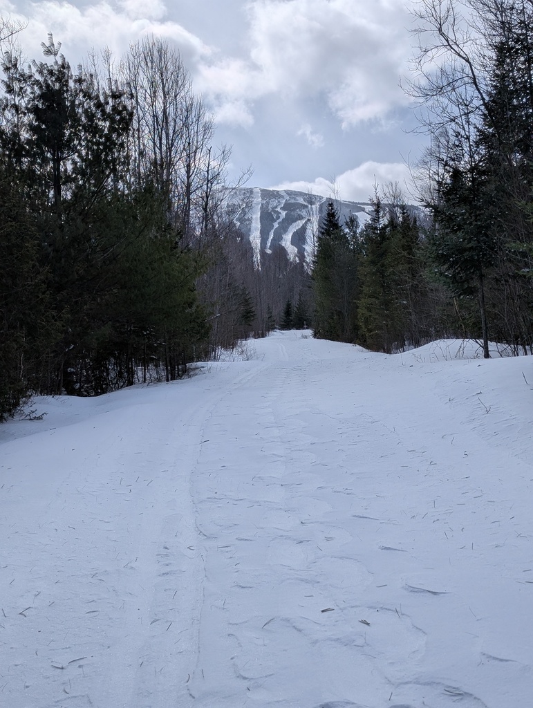 No description provided for: /2025/01-03/0214-xc-ski-route/photo03.html