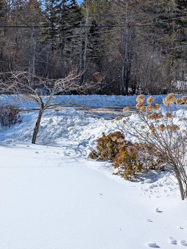 No description provided for: /2025/01-03/0219-deep-snow-piles/photo03.html