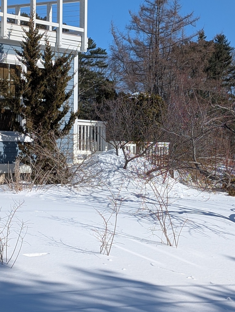 No description provided for: /2025/01-03/0219-deep-snow-piles/photo08.html