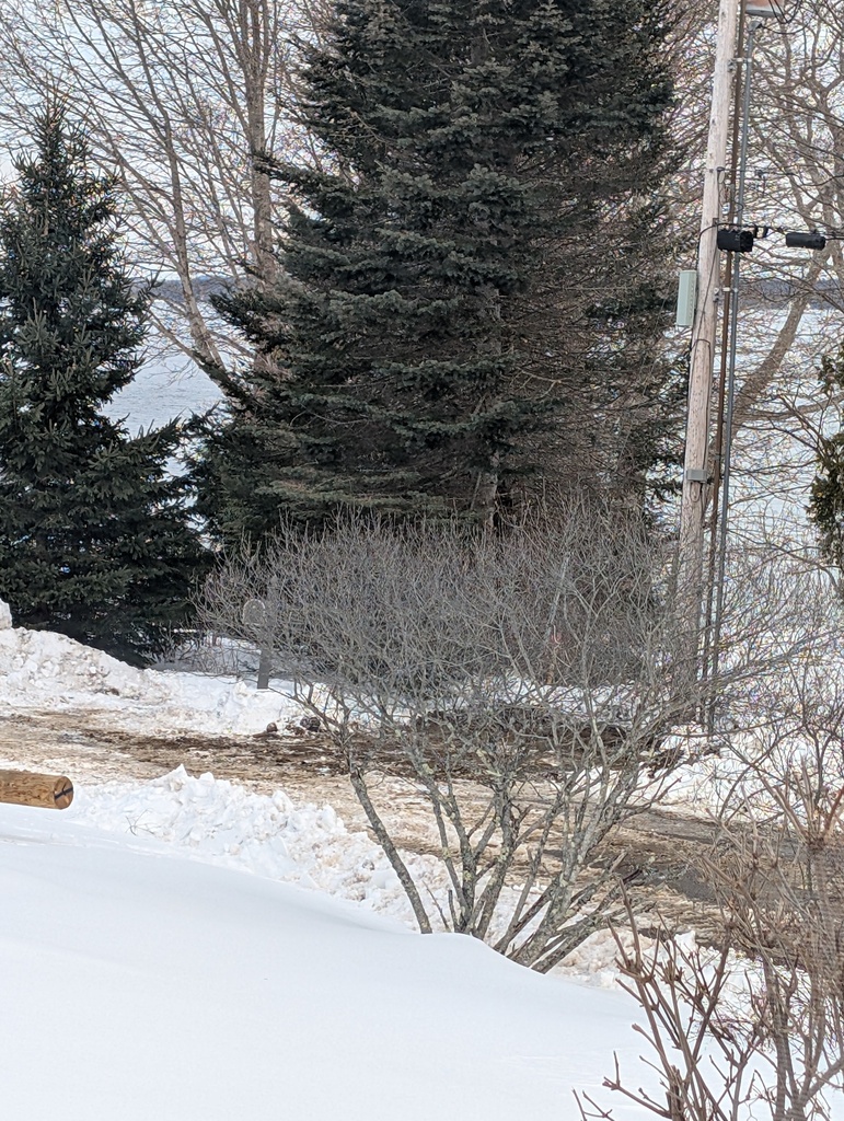 No description provided for: /2025/01-03/0220-power-line-break/photo03.html