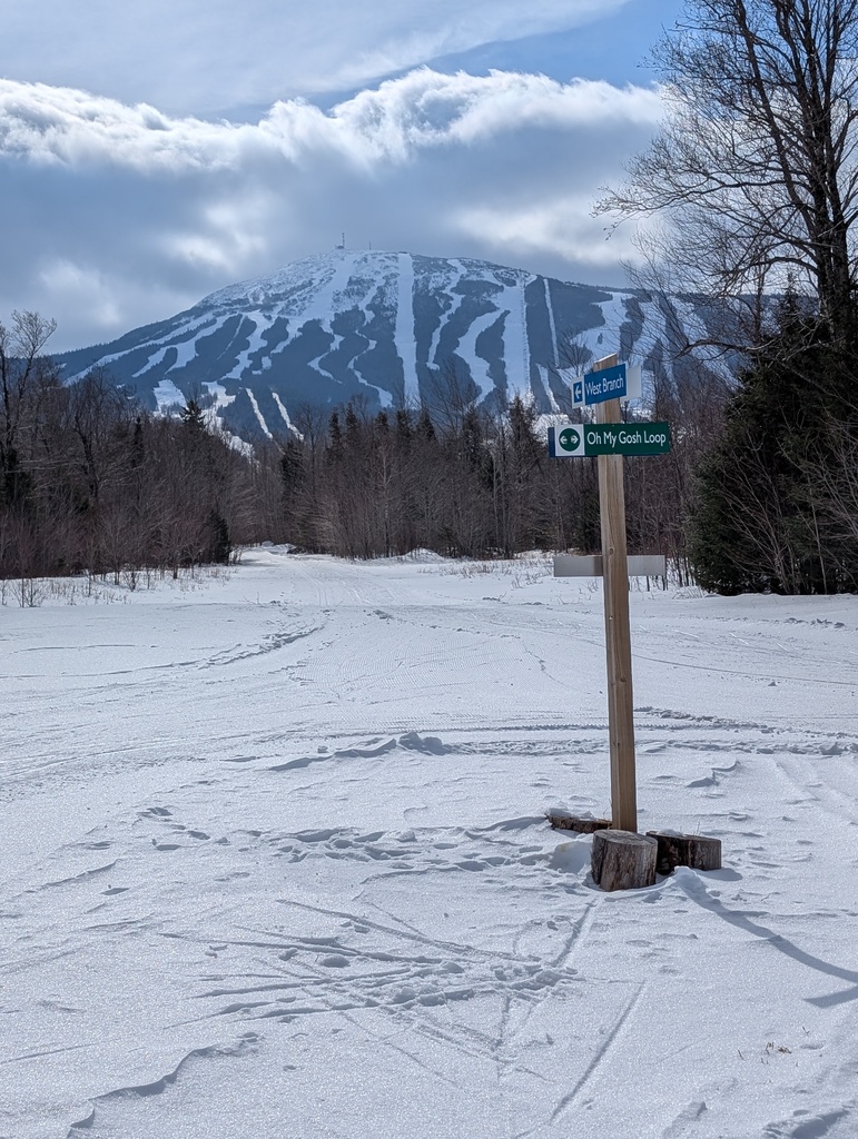 No description provided for: /2025/01-03/0224-xc-ski-route/photo01.html