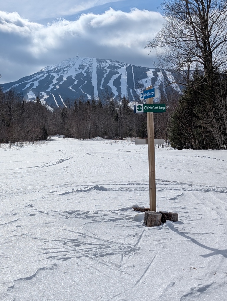 No description provided for: /2025/01-03/0224-xc-ski-route/photo02.html