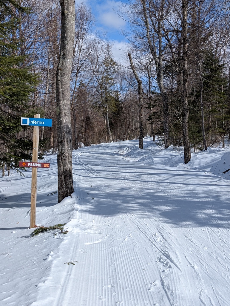 No description provided for: /2025/01-03/0224-xc-ski-route/photo03.html