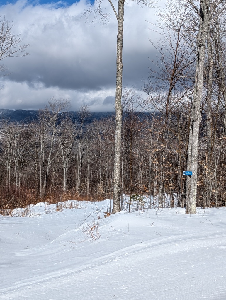 No description provided for: /2025/01-03/0226-xc-ski-route/photo01.html