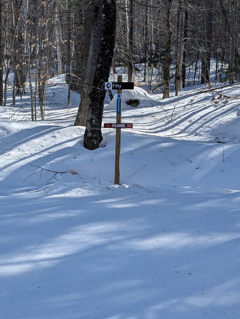 No description provided for: /2025/01-03/0226-xc-ski-route/photo04.html