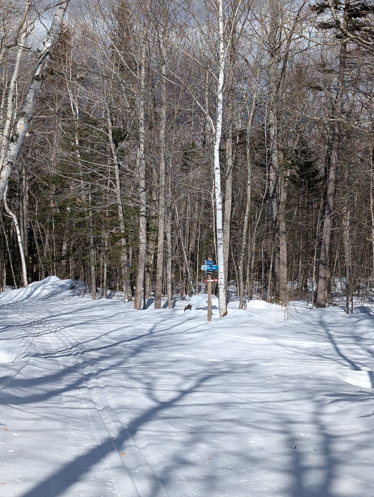 No description provided for: /2025/01-03/0226-xc-ski-route/photo05.html