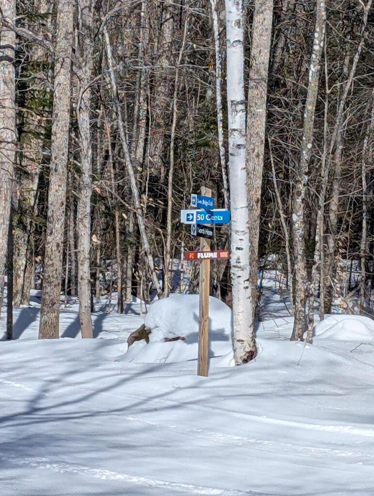 No description provided for: /2025/01-03/0226-xc-ski-route/photo06.html