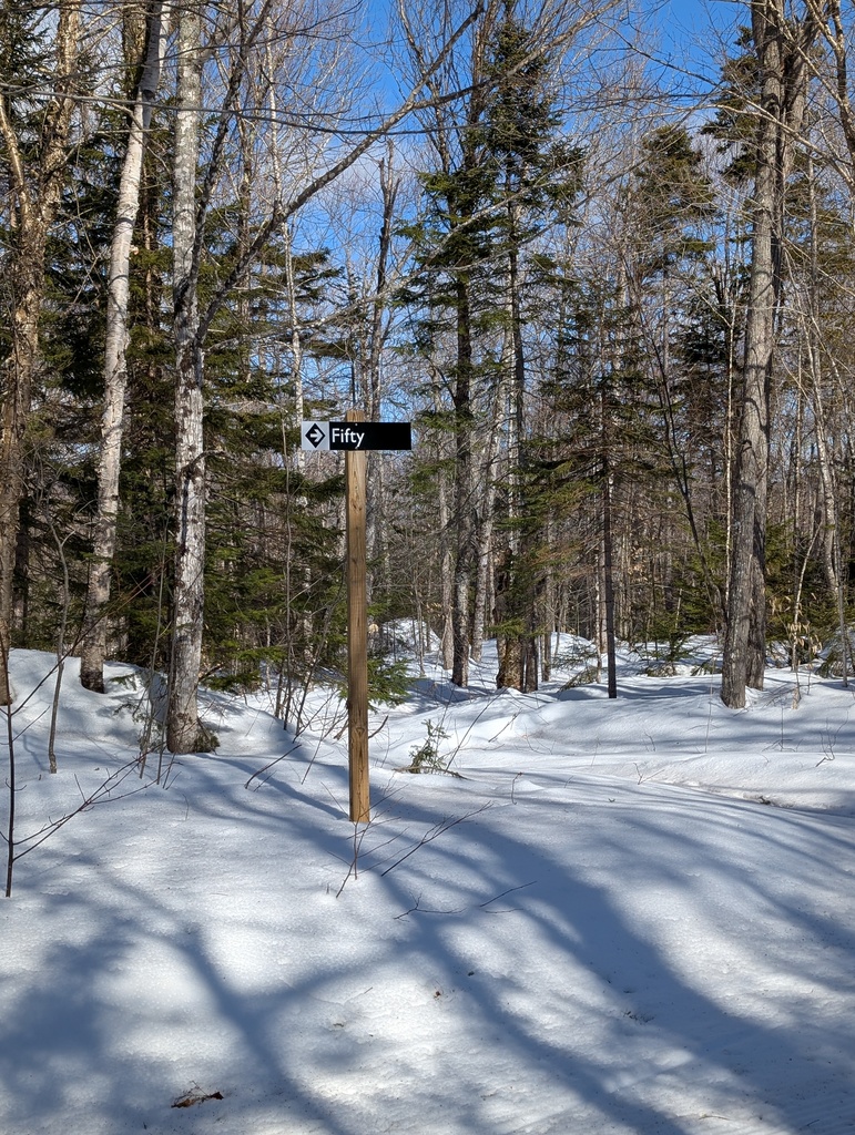 No description provided for: /2025/01-03/0226-xc-ski-route/photo07.html