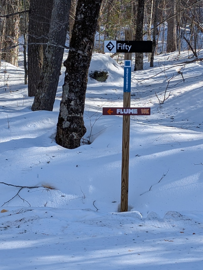 No description provided for: /2025/01-03/0226-xc-ski-route/photo11.html