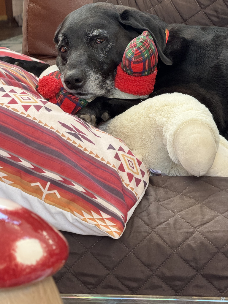 No description provided for: /2025/01-03/0318-midnight/photo01.html